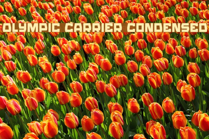 Olympic Carrier Condensed Example 2