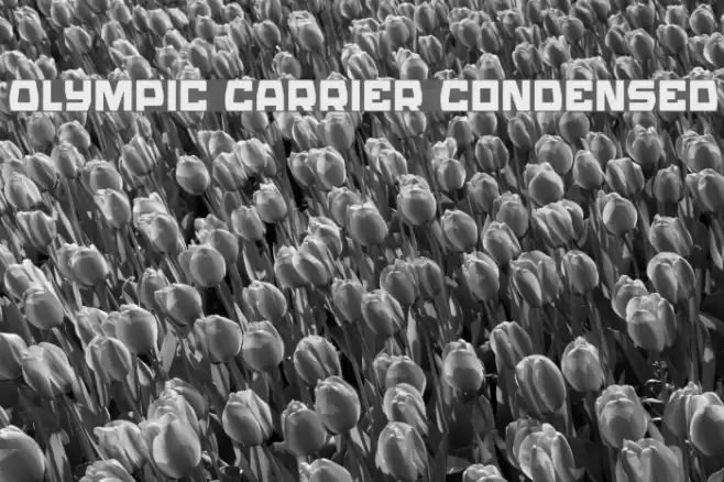 Olympic Carrier Condensed Font examples
