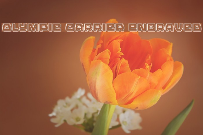 Olympic Carrier Engraved Example 3