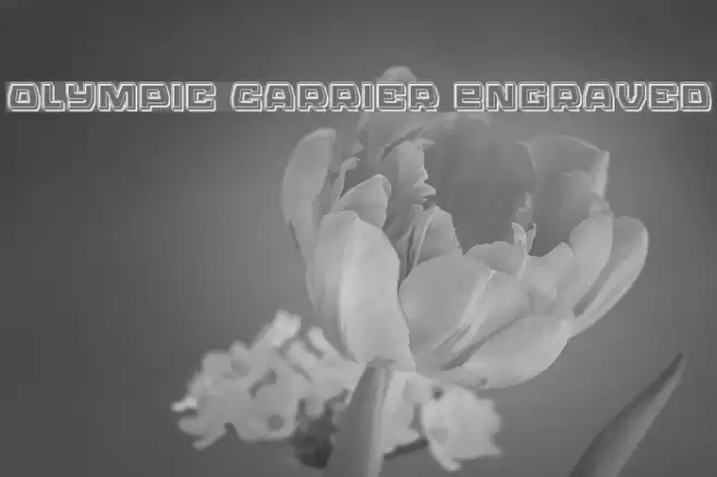 Olympic Carrier Engraved Font examples