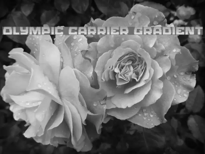 Olympic Carrier Gradient Fuentes examples