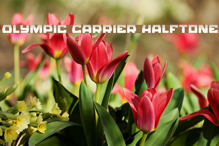 Olympic Carrier Halftone Font examples