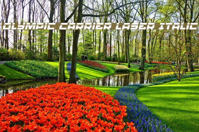 Olympic Carrier Laser Italic Font examples