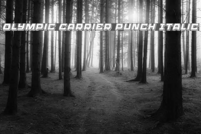 Olympic Carrier Punch Italic Font examples