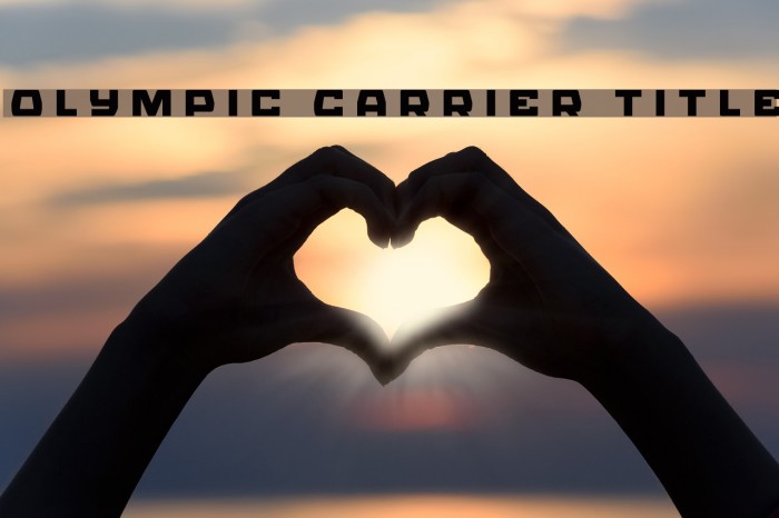 Olympic Carrier Title Example 1