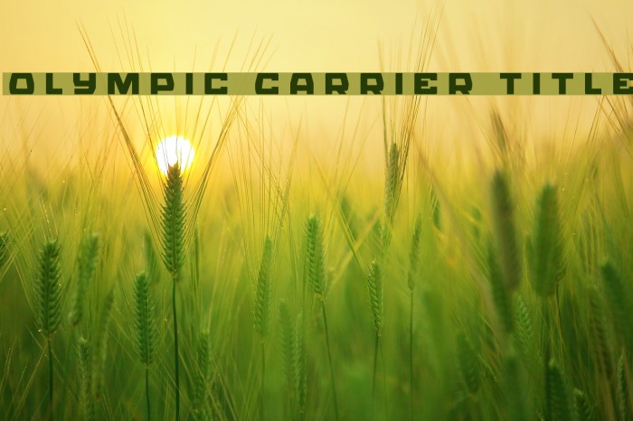 Olympic Carrier Title Example 2