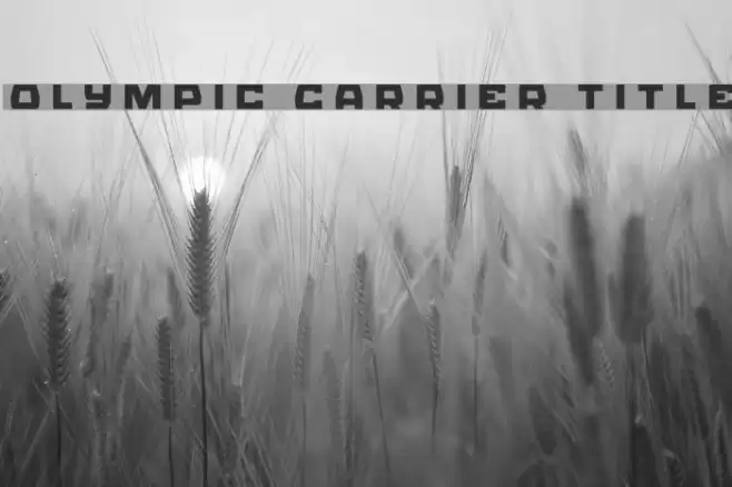 Olympic Carrier Title Font examples