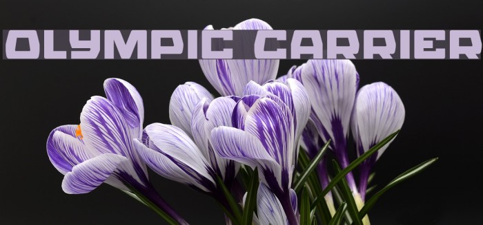 Olympic Carrier Font examples