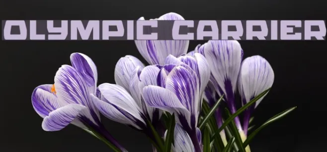 Olympic Carrier Example 3