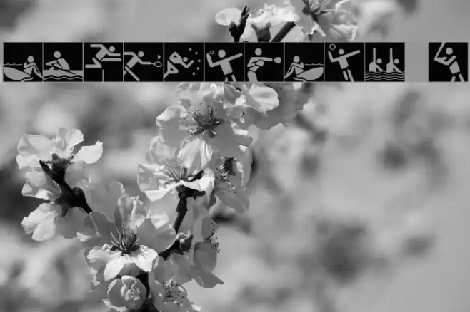 Olympicons 2 Font examples