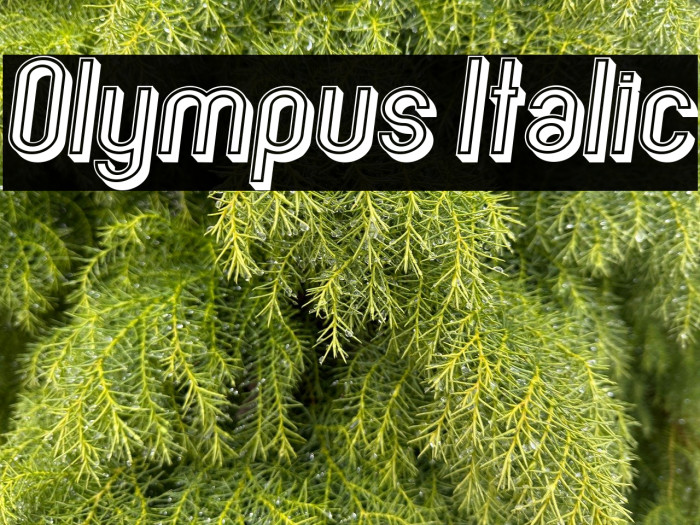 Olympus Italic Example 1