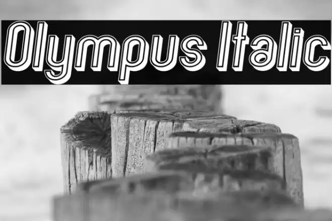 Olympus Italic Font examples