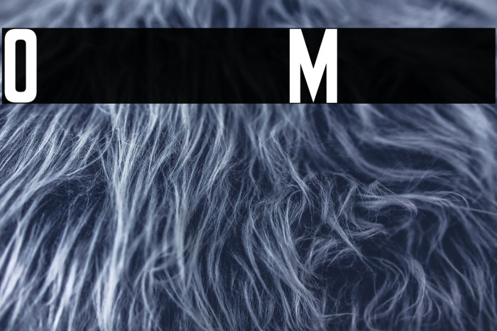 Olympus Mount Example 1