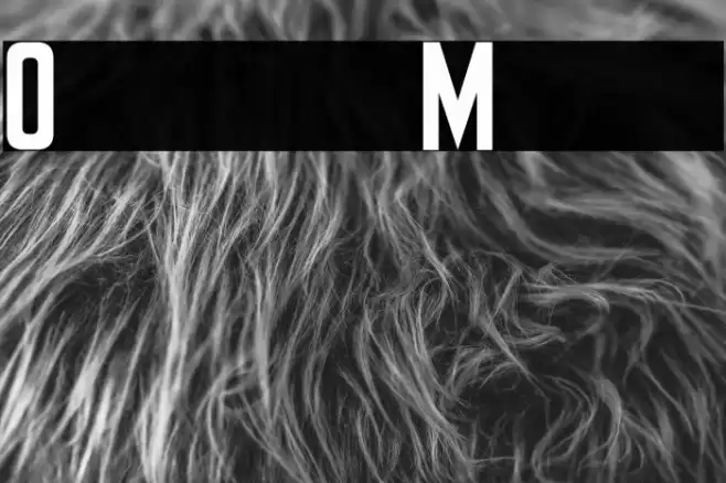 Olympus Mount Font examples