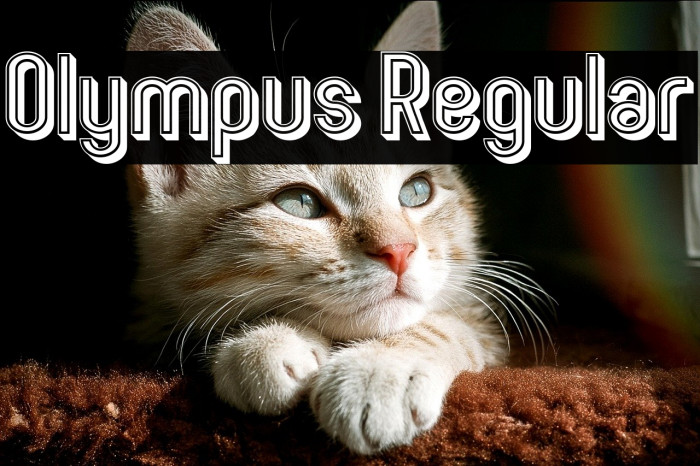 Olympus Regular Example 3