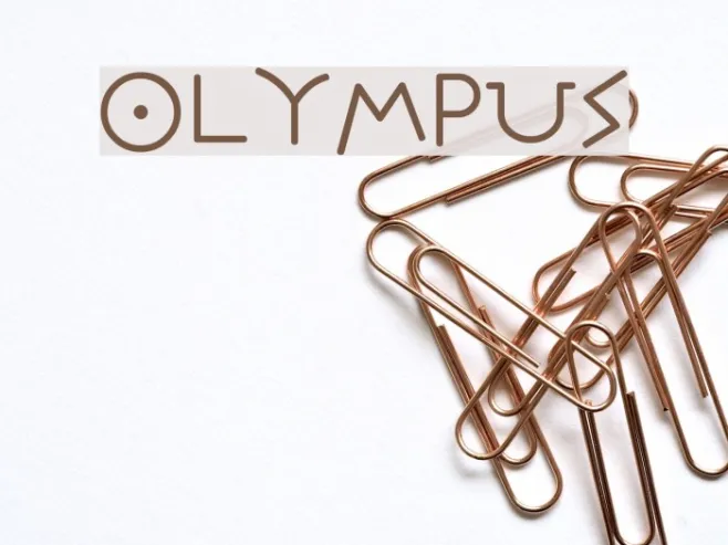 Olympus Example 3