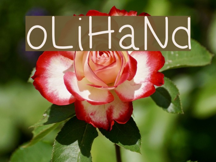 oLiHaNd Font examples