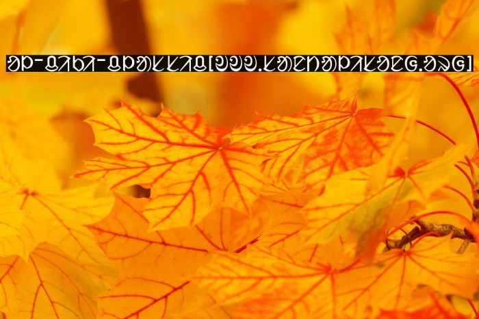 ol_ciki_classic[www.santalisong.org] Example 1