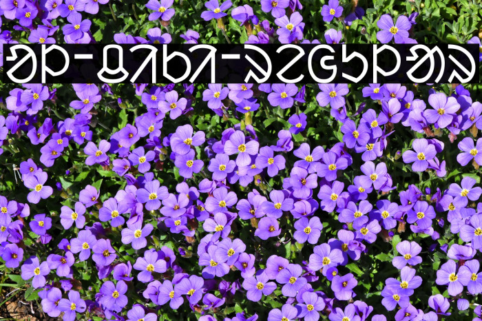 ol_ciki_regular Example 2