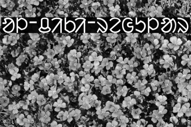 ol_ciki_regular Font examples