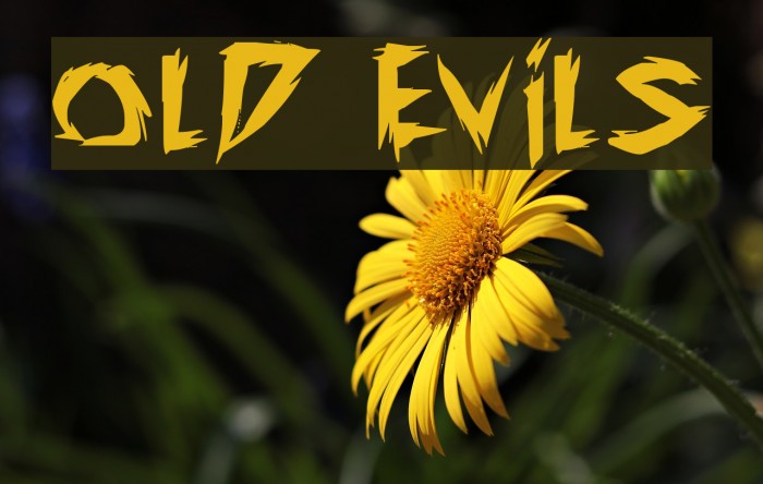 old evils Font examples