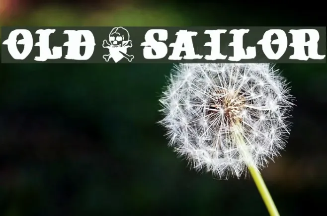 old+sailor Example 3