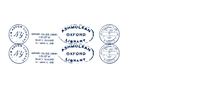 old seals tfb Other Characters