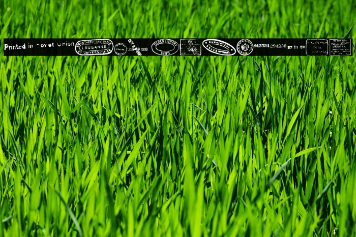 old seals tfb Example 1