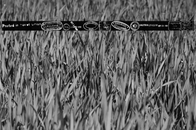 old seals tfb Font examples