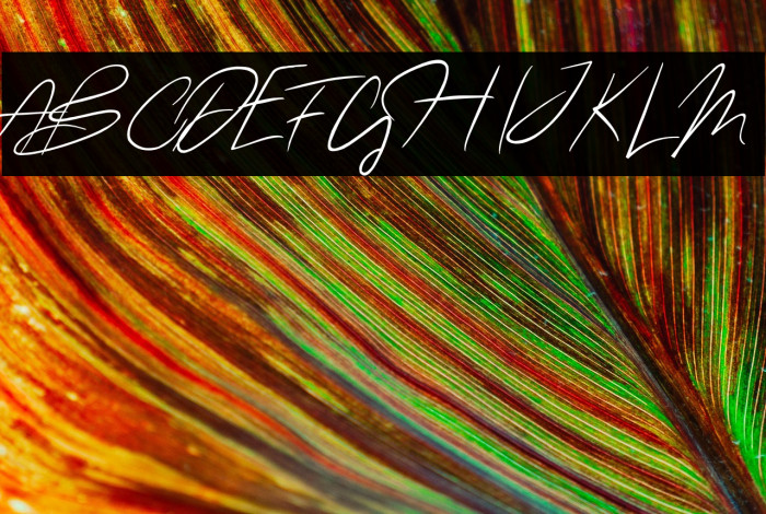 oliver quin Regular Example 2