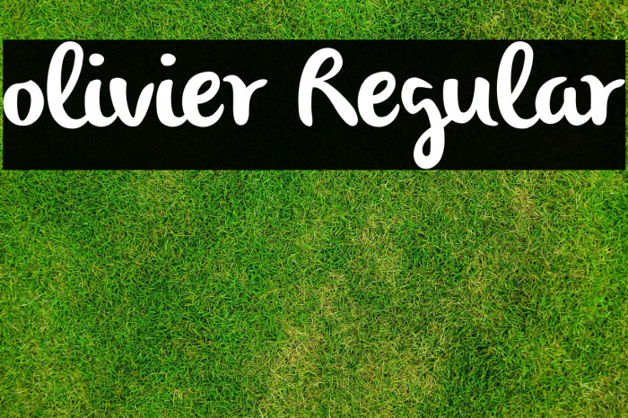 olivier Regular Example 1