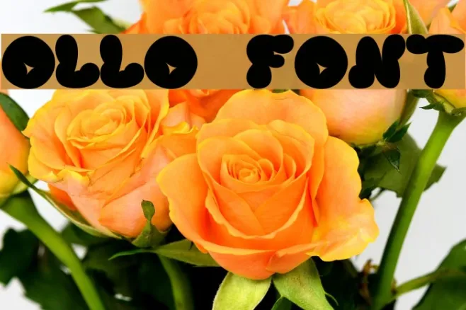 ollo Example 3