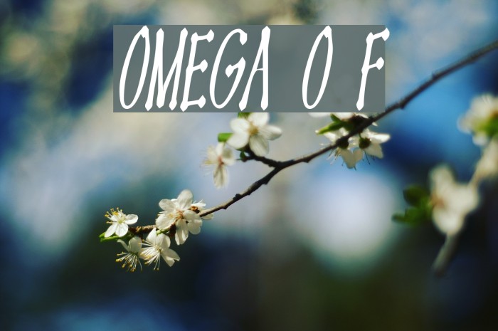 OMEGA Old Face لخطوط تنزيل examples