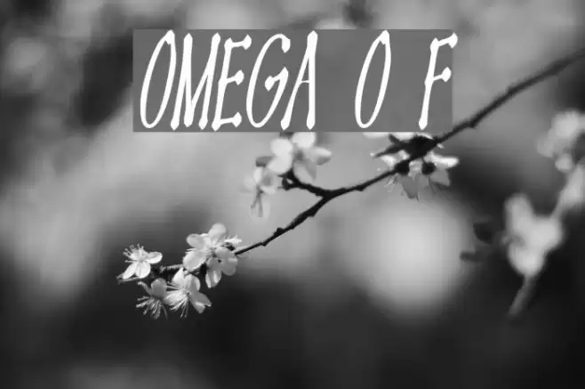 OMEGA Old Face Font examples