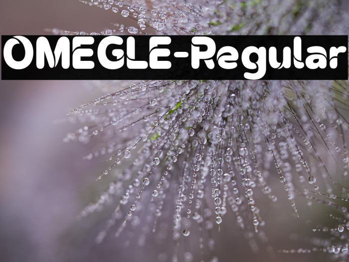 OMEGLE-Regular Example 3