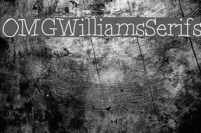 OMGWilliamsSerifs Font examples