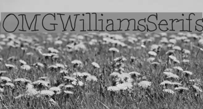 OMGWilliamsSerifs Font examples
