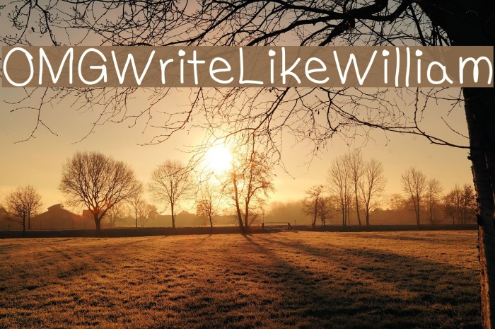 OMGWriteLikeWilliam Font examples
