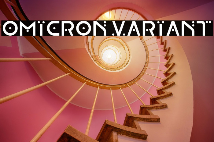 OMICRON VARIANT Example 2