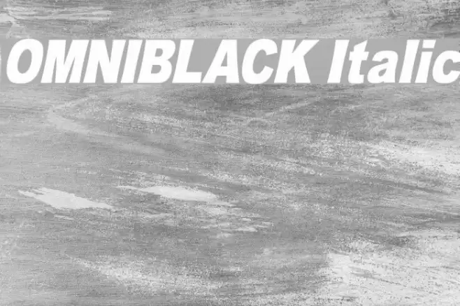 OMNIBLACK Italic Font examples