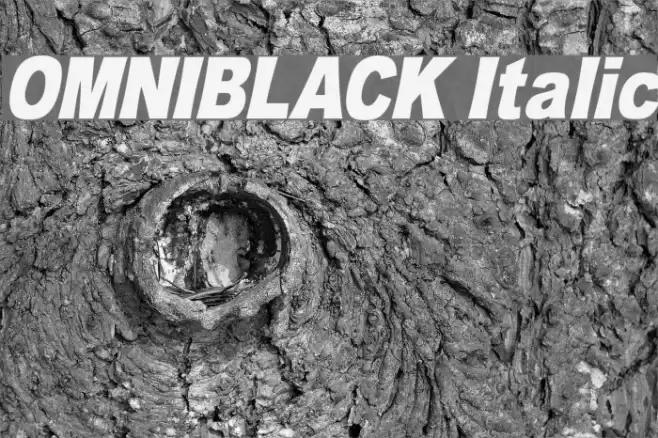 OMNIBLACK Italic Font examples
