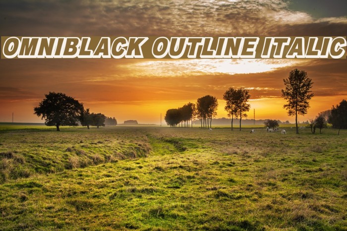 OMNIBLACK Outline Italic Example 3