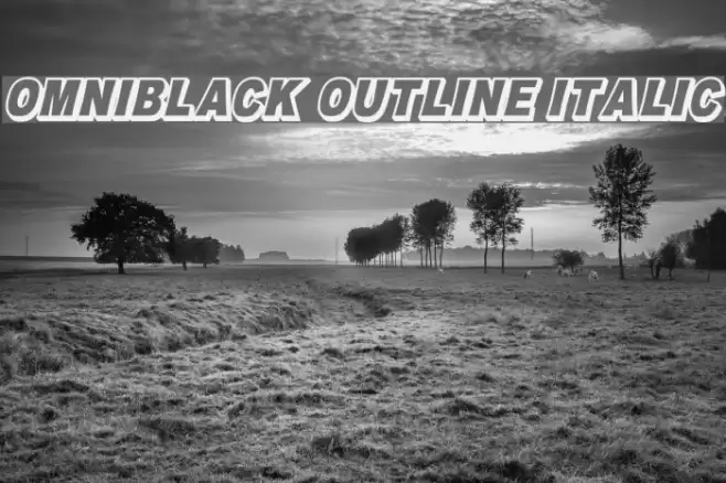 OMNIBLACK Outline Italic Font examples