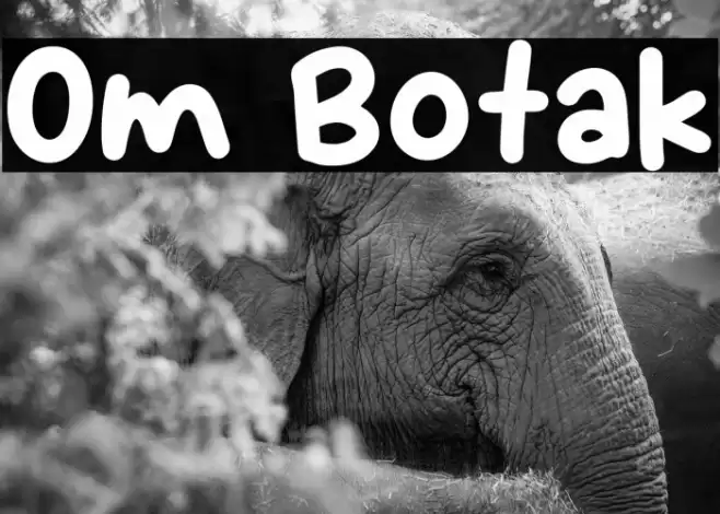 Om Botak Font examples