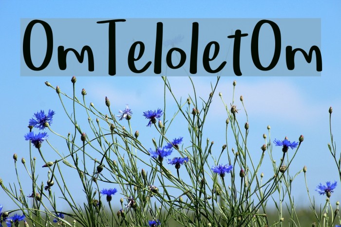OmTeloletOm Font examples