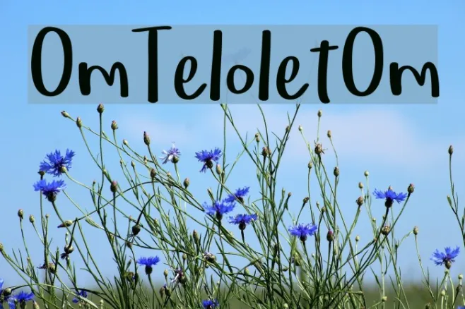 OmTeloletOm Example 1