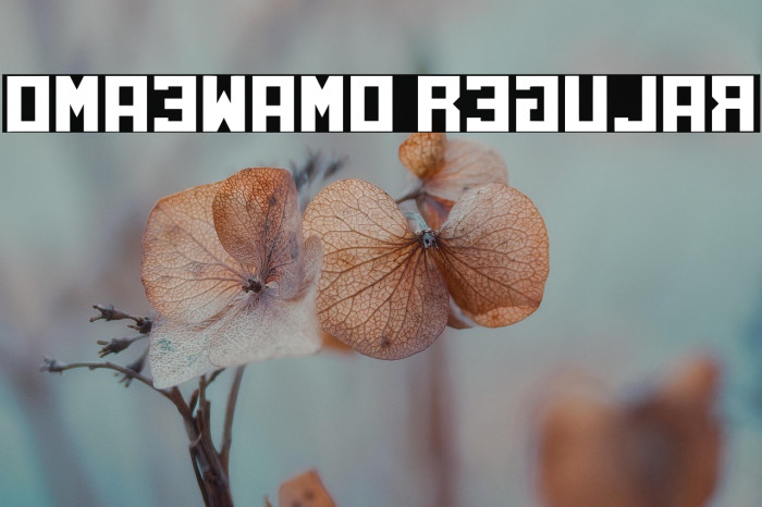 Omaewamo Regular Example 2