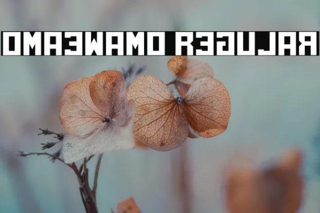 Omaewamo Regular Example 2