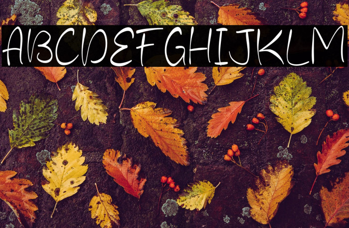 Omantha Signature Example 2