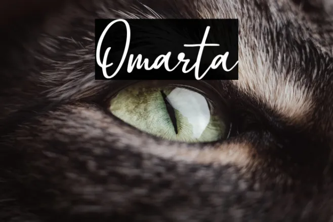 Omarta Example 1